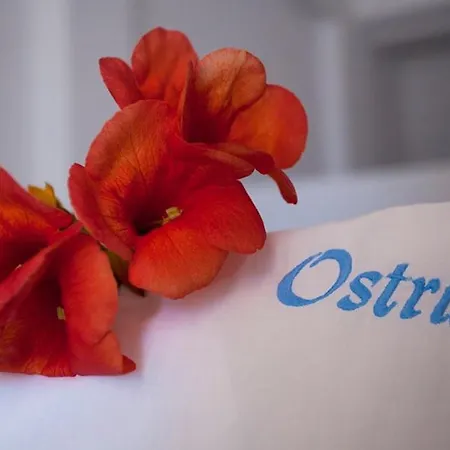 Ostria Appartamento Alikí